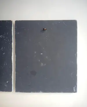 Hans Wiesman - Muzikanten kopen? Bied vanaf 75!