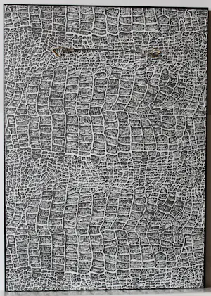 Jac. de Beer - Dahlia kopen? Bied vanaf 40!