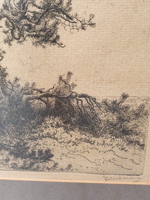 Jan Coenraad Nachenius - De Boom kopen? Bied vanaf 75!