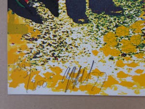 Karel Appel - DE TOVENAAR / KLEURZEEFDRUK / 50x50cm / SIG / 1977 kopen? Bied vanaf 185!