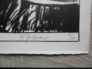 Hannes Postma - Litho, Kleine oplage (75 stuks) "code: Parthenogenese" kopen? Bied vanaf 30!