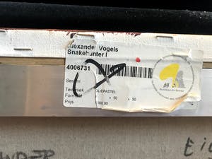 Alexander Vogels - Snakehunter I kopen? Bied vanaf 342!