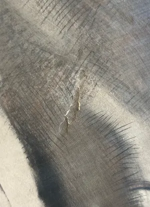 Huib Luns - Potlood- en krijttekening, Liggend naakt - Ingelijst kopen? Bied vanaf 70!