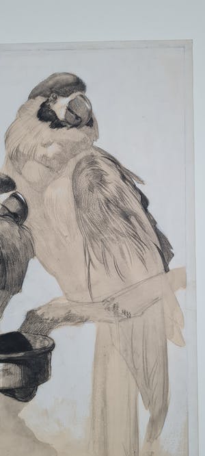 Adriaan van 't Hoff - Twee papegaaien op een tak - handgesigneerde tekening 1930 kopen? Bied vanaf 225!