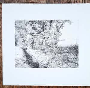 Reinder Homan - handgesigneerde en genummerd ets 2002 verkocht voor € 50!