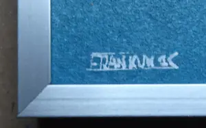 Franklin Meijer - Waddenkust Groningen kopen? Bied vanaf 69!