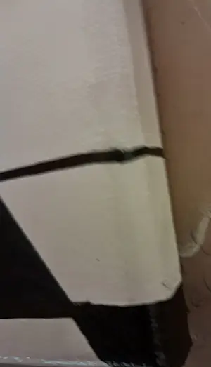 Anke Peddemors - Urineren zwart/ wit kopen? Bied vanaf 28!