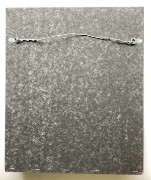 Hester Schroor - Libelle kopen? Bied vanaf 285!