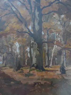 Jan van Vuuren - Boslandschap Nunspeet kopen? Bied vanaf 350!