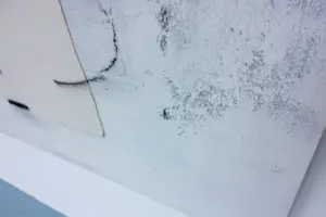 Rene van der Hoofd - Gemengde techniek op hout, Silence & Smooth kopen? Bied vanaf 250!