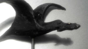 Bernadette Leijdekkers - Vogel als geluksbrenger kopen? Bied vanaf 34!