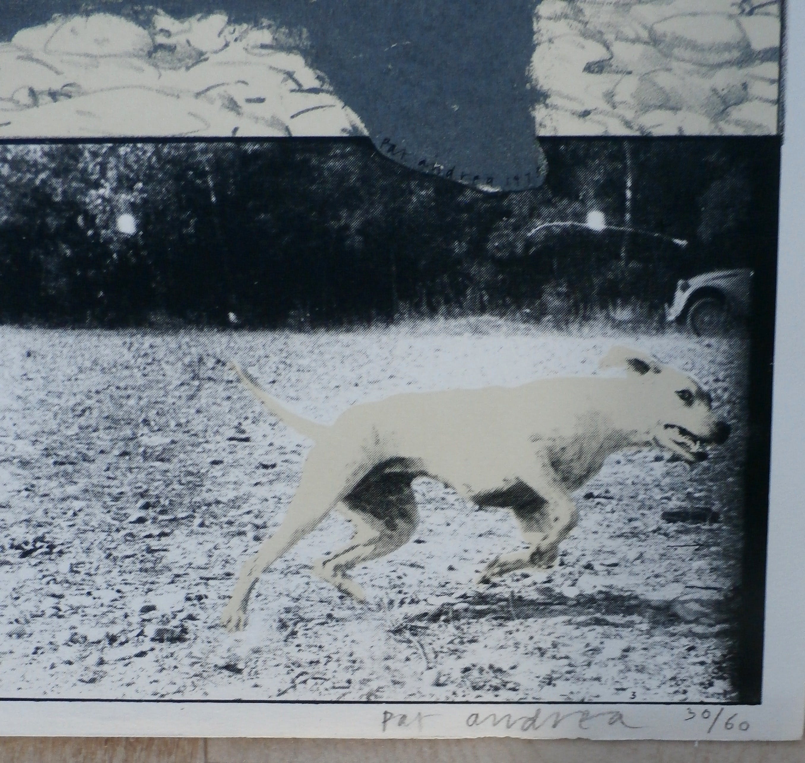 Pat Andrea - Litho: Over een hond in Frankrijk  kopen? Bied vanaf 100!