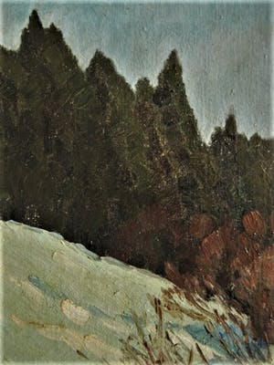 Niet of onleesbaar gesigneerd - omstreeks 1900 geschilderd olieverf "Winters landschap in avondlicht" kopen? Bied vanaf 10!