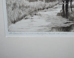 Nico van der Jagt - Poldersloot met knotwilgen - ets, 1948 - druk v.d. etser kopen? Bied vanaf 49!