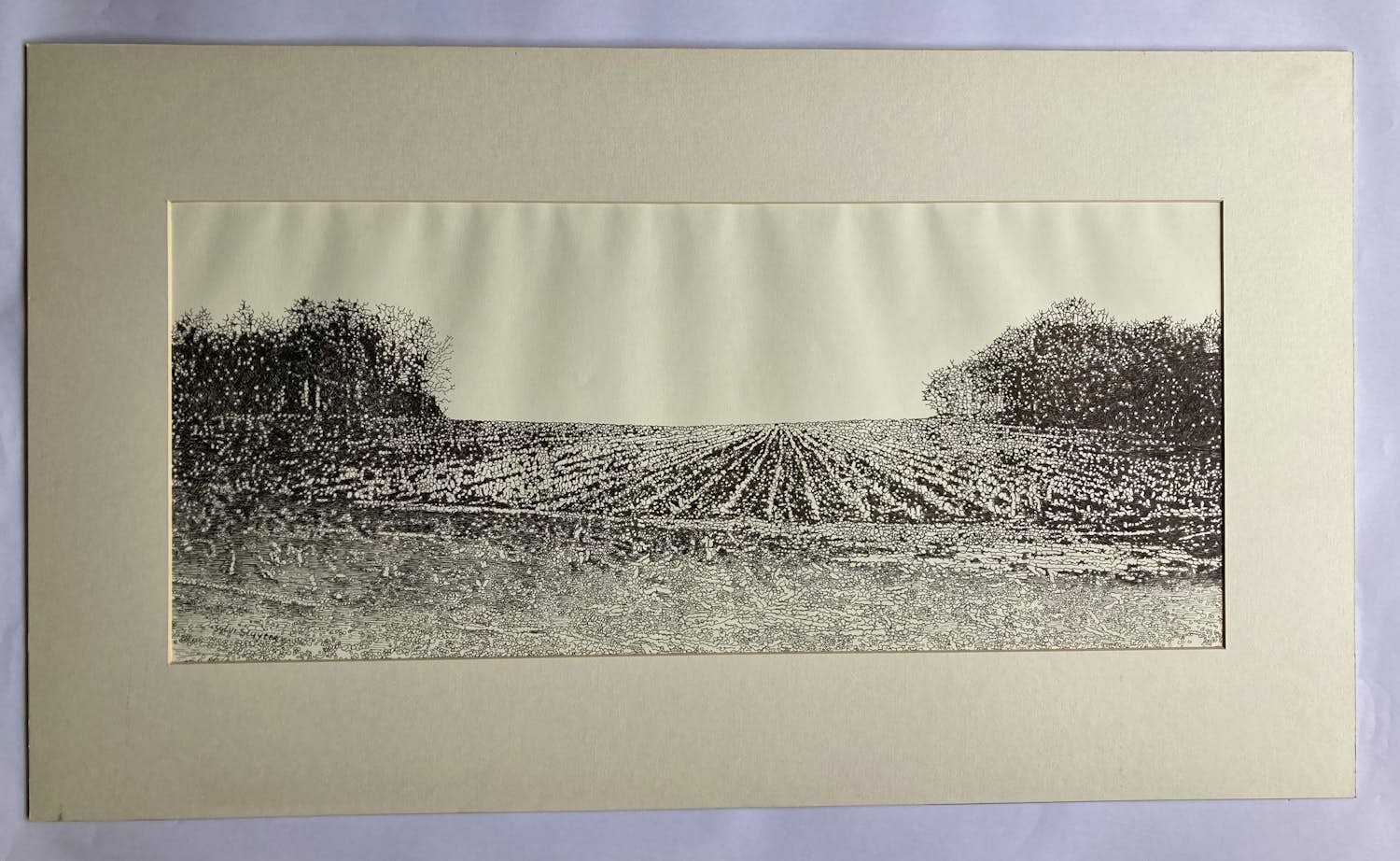 Niet of onleesbaar gesigneerd - tekening van landschap op papier - Sylvi Sluijter (zie uitleg) - 1990 kopen? Bied vanaf 1!