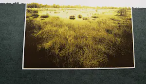 Piet Fioole - Fraaie, in 1974 gemaakte kleuren zeefdruk "Groote Peel I" - bep. oplage (75) kopen? Bied vanaf 45!