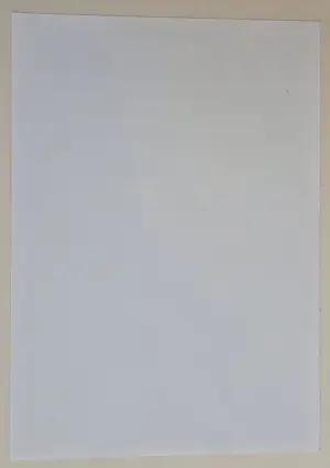 Adolf Born - Handgesigneerde en genummerde litho kopen? Bied vanaf 95!