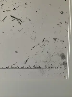 Bernar Venet - Random combination of indeterminated lines zeer laag openingsbod kopen? Bied vanaf 1150!