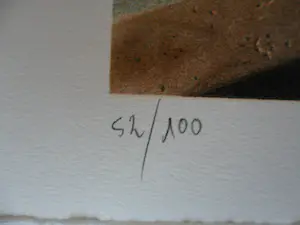 Bernard-Stephan Moldawan - Litho, Titel. Electric Feather kopen? Bied vanaf 45!