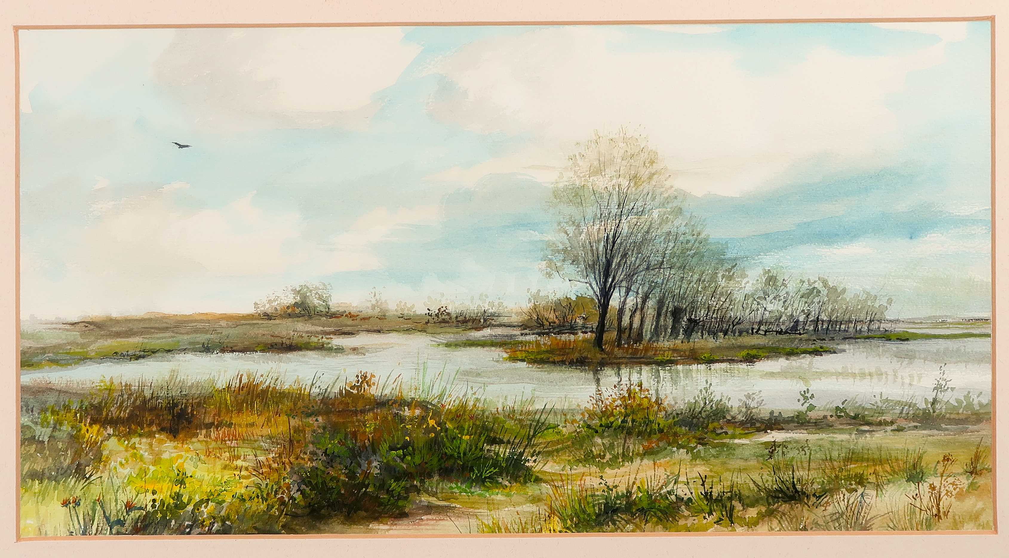 Niet of onleesbaar gesigneerd - Aquarel, Veenlandschap - Ingelijst kopen? Bied vanaf 1!