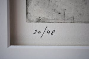 Johan Tahon - ____ Tideride-Mindfield ____ ets - oplage 48 kopen? Bied vanaf 250!