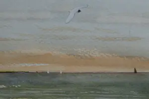 Franklin Meijer - Waddenzee met Griend en kokmeeuw kopen? Bied vanaf 25!