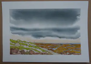 Franklin Meijer - Terschelling - 4 x aquarel studies kopen? Bied vanaf 69!