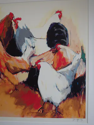 Gerda Elfring - Kippen en een haan kopen? Bied vanaf 70!