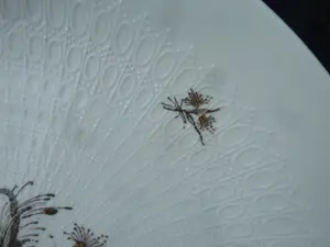 Rosenthal - Romanze in Moll kopen? Bied vanaf 1!