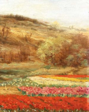 Niet of onleesbaar gesigneerd - C3699, bloemenbollenveldjes bij de heuvel kopen? Bied vanaf 10!