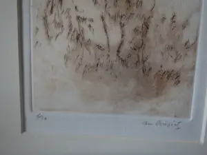 An Biesiot - Welp van de Leeuw kopen? Bied vanaf 15!