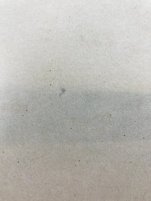 Adrian de Gijzel - Linoleumsnede, Viool op hoofd kopen? Bied vanaf 40!