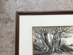 Niet of onleesbaar gesigneerd - Knotwilgen kopen? Bied vanaf 1!