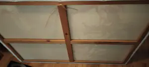 Anton Heyboer - Can can danseres kopen? Bied vanaf 249!