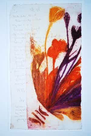 Jops Jacobs - grote ets -botanisch grafiek -geen oplage: uniek exemplaar -handgeschreven tekst verkocht voor € 50!