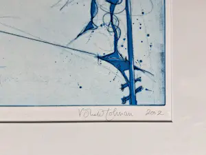 Ronald Tolman - Koorddansers kopen? Bied vanaf 95!