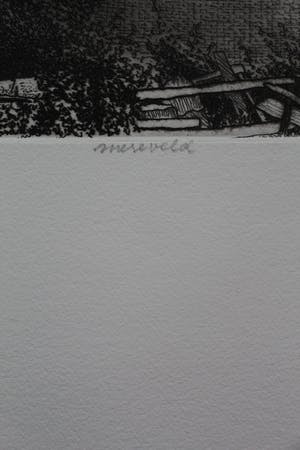 Gerard van Rooy - Ets: Mereveld- 1973 kopen? Bied vanaf 50!