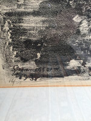 Jan Groenestein - C4889-3, Paardrijden kopen? Bied vanaf 75!