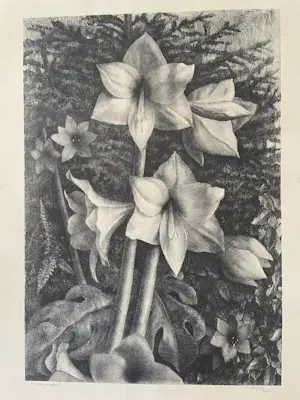 Jan Visser - Witte amaryllis kopen? Bied vanaf 35!