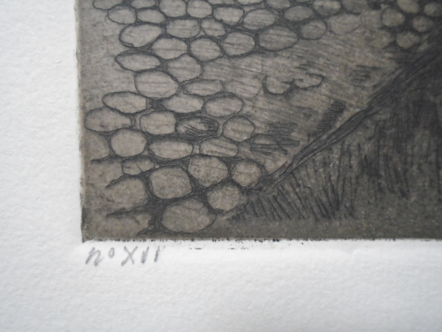 Willem Witsen - Molenpoort, Wijk bij Duurstede kopen? Bied vanaf 110!