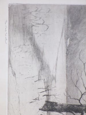 Hans van Dokkum - Besneeuwd landschap met vogels in dode boom - Ets kopen? Bied vanaf 35!