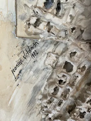 Jeanine Veldman - 1936-2010 kopen? Bied vanaf 150!