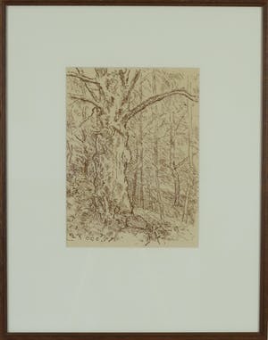 Otto B. de Kat - Bosgezicht kopen? Bied vanaf 80!