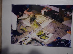 Herman Brood - Kleurenzeefdruk "Paddo's". kopen? Bied vanaf 125!